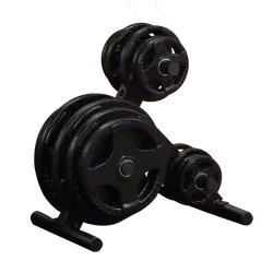 Подставка для олимпийских дисков профессиональная BODY SOLID OWT24